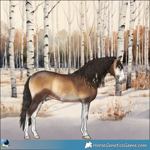 Horse Color:Gray Liver Red Onyx Sabino Rabicano 