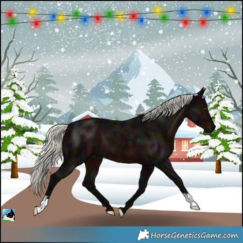 Horse Color:Midnight Liver Chestnut Mushroom 