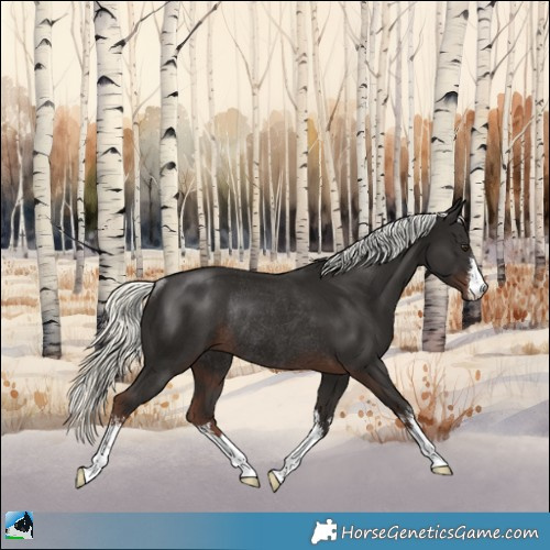 Horse Color:White Spotted Liver Chestnut Mushroom Rabicano 