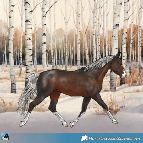 Horse Color:Liver Chestnut Mushroom 