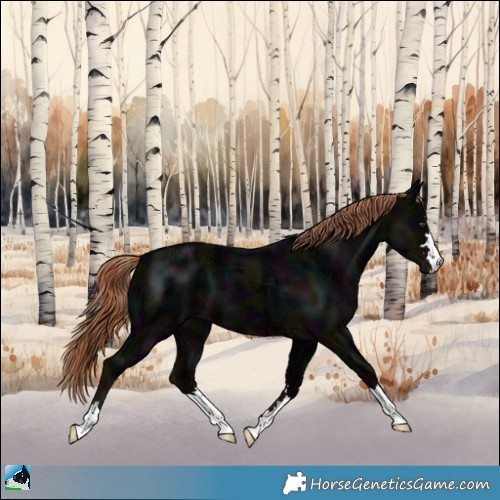 Horse Color:Midnight Liver Chestnut Ice 