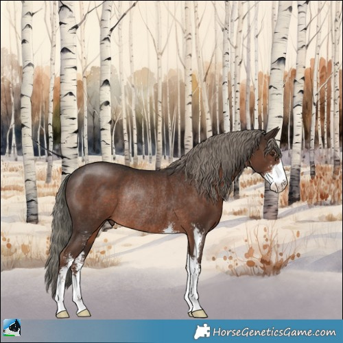 Horse Color:Liver Chestnut Mushroom Sabino Rabicano 
