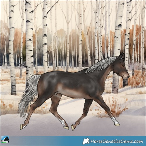 Horse Color:Liver Chestnut Mushroom 