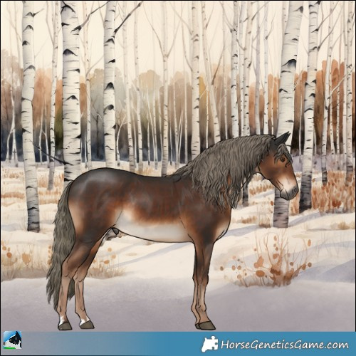 Horse Color:Gray Liver Chestnut Mushroom Rabicano 