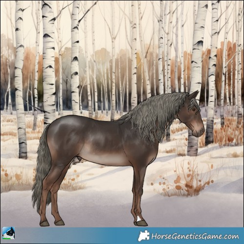 Horse Color:Liver Chestnut Mushroom Rabicano 