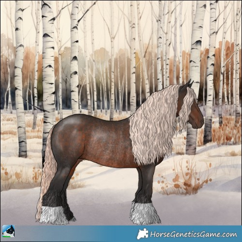 Horse Color:Liver Chestnut Mushroom Rabicano 