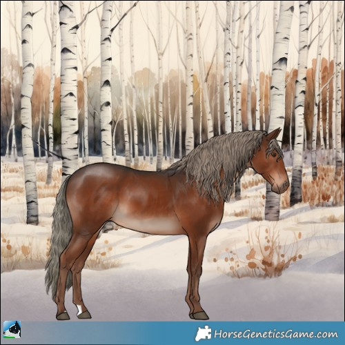 Horse Color:Liver Chestnut Mushroom 