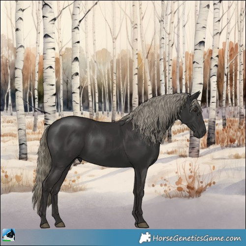 Horse Color:Liver Chestnut Mushroom Rabicano 