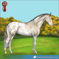 Horse Color:Black Snowdrop Splash Tobiano Blanket Rabicano 