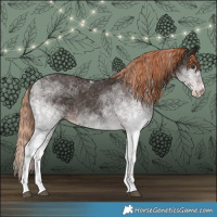 Horse Color:White Spotted Liver Chestnut 