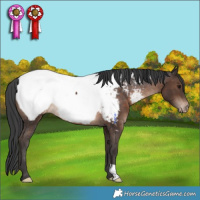 Horse Color:Brown Snowcap Rabicano 