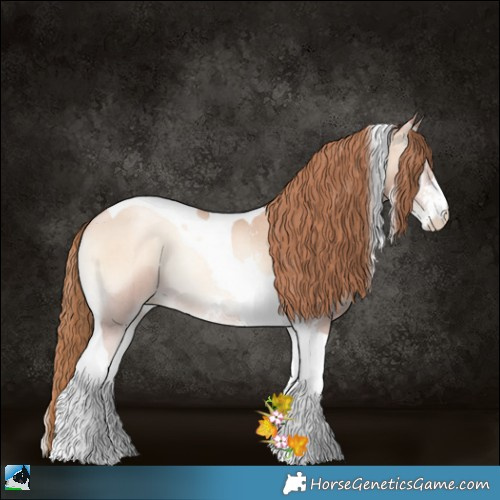 Horse Color:Gold Champagne Pearl Onyx Sabino Tobiano Rabicano 
