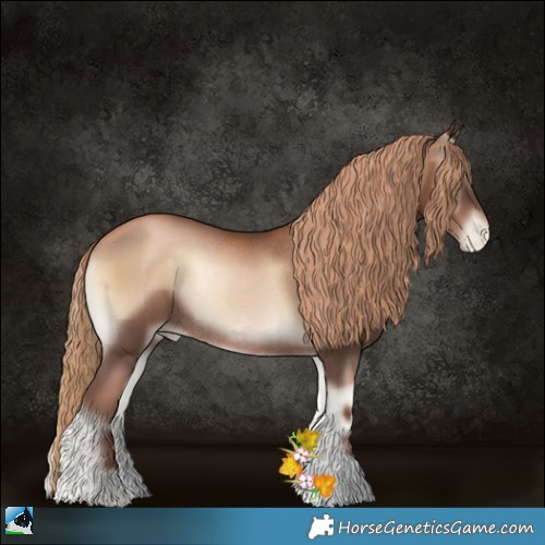 Horse Color:Liver Red Onyx Pearl Rabicano 