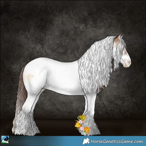 Horse Color:Brown Pearl Onyx Splash Tobiano Frame 