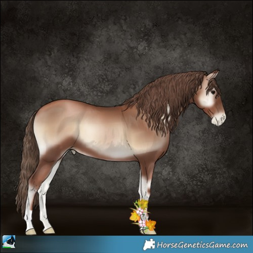 Horse Color:Blue Onyx Pearl 