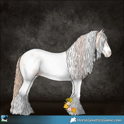 Horse Color:Gold Champagne Pearl Onyx Tobiano Frame Rabicano 