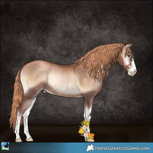 Horse Color:Liver Red Onyx Pearl Rabicano 
