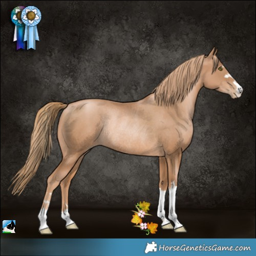 Horse Color:Chestnut Pearl Rabicano 