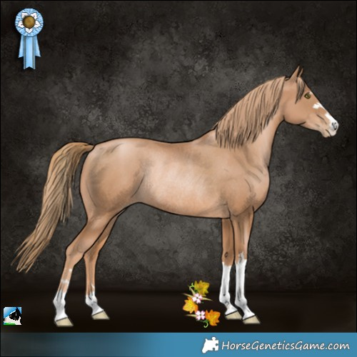 Horse Color:Chestnut Pearl Rabicano 
