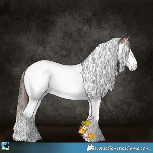 Horse Color:Liver Red Onyx Pearl Splash Tobiano Rabicano 