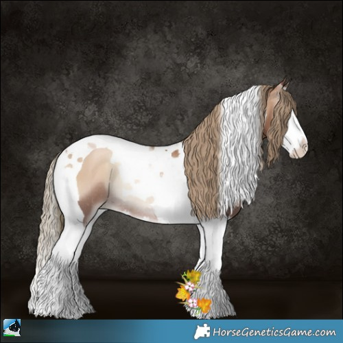 Horse Color:Liver Red Onyx Pearl Splash Tobiano Rabicano 