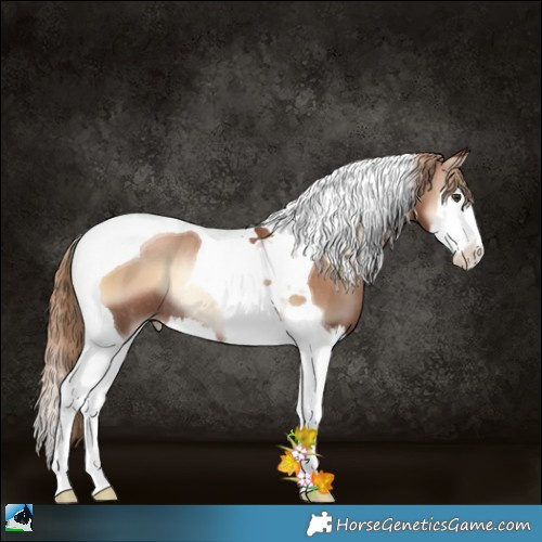 Horse Color:Liver Red Onyx Pearl Splash Tobiano Rabicano 