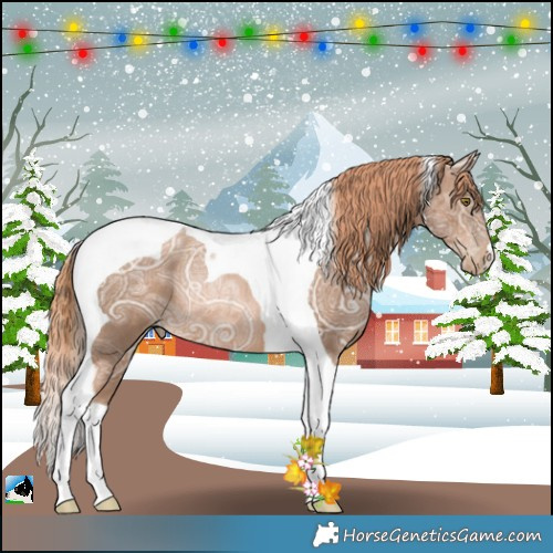 Horse Color:Liver Chestnut Ice Pearl Tobiano Rabicano 