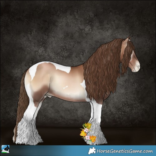 Horse Color:Liver Red Onyx Pearl Tobiano 