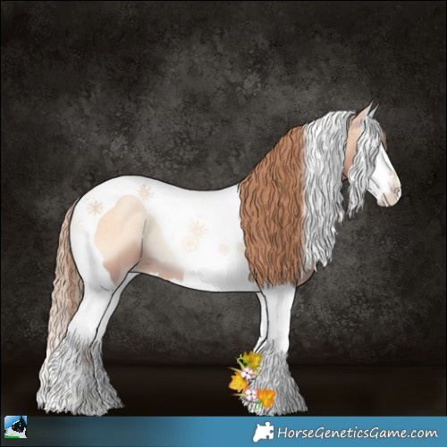 Horse Color:Gold Champagne Pearl Onyx Splash Tobiano 
