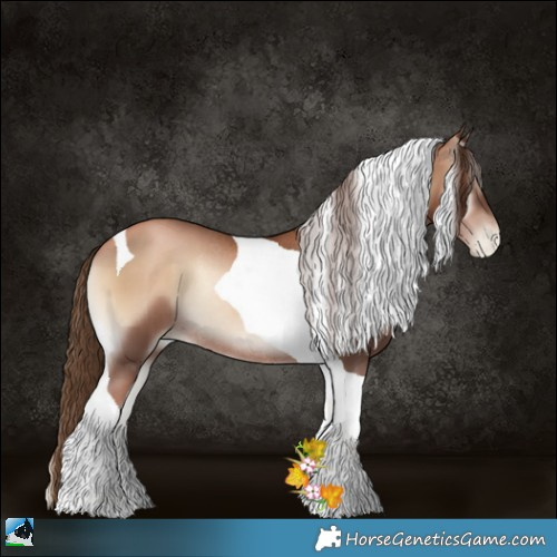 Horse Color:Liver Red Onyx Pearl Tobiano Rabicano 
