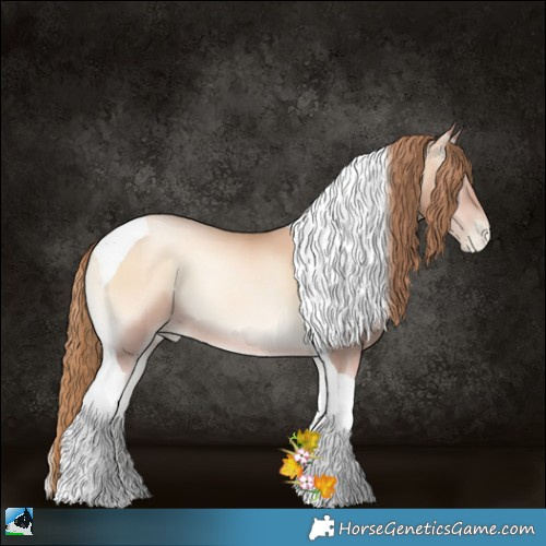 Horse Color:Gold Champagne Pearl Onyx Tobiano 