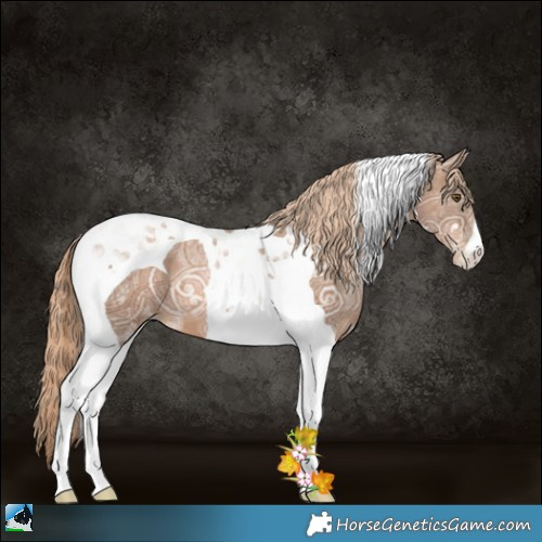 Horse Color:Liver Chestnut Ice Pearl Tobiano 