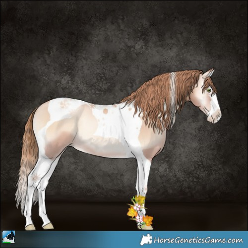 Horse Color:Gold Champagne Pearl Onyx Splash Tobiano 