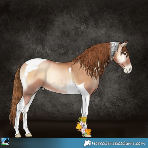 Horse Color:Red Onyx Pearl Tobiano Rabicano 