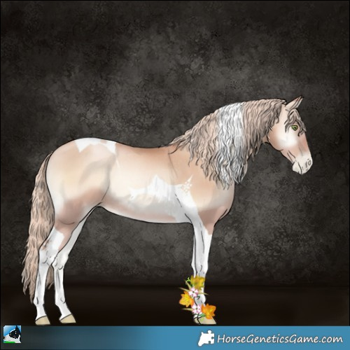 Horse Color:Gold Champagne Pearl Onyx Tobiano Rabicano 
