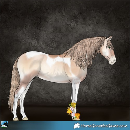 Horse Color:Gold Champagne Pearl Onyx Tobiano Rabicano 
