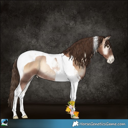 Horse Color:Liver Red Onyx Pearl Tobiano Rabicano 