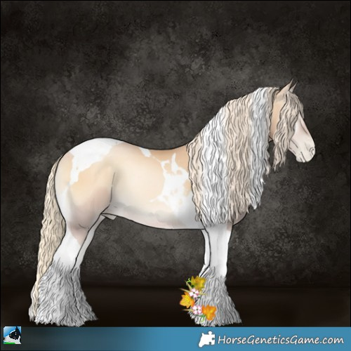 Horse Color:Palomino Pearl Onyx Tobiano 