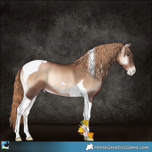 Horse Color:Liver Red Onyx Pearl Tobiano 