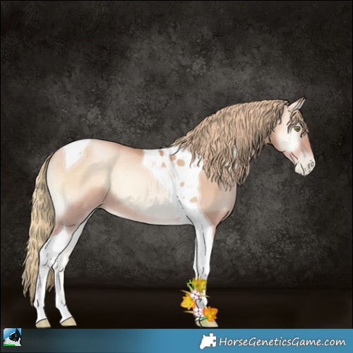 Horse Color:Gold Champagne Pearl Onyx Tobiano 