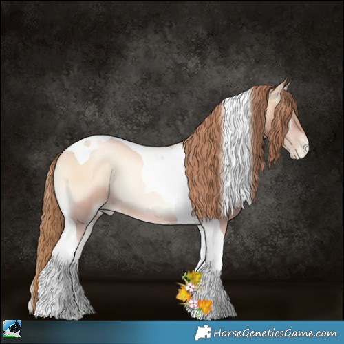 Horse Color:Gold Champagne Pearl Onyx Tobiano 