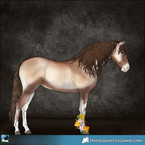 Horse Color:Liver Red Onyx Pearl 
