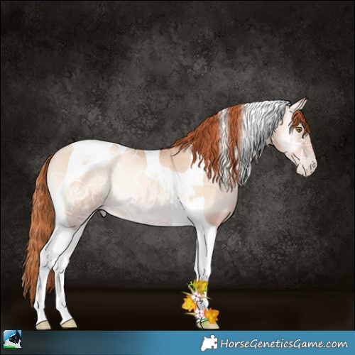 Horse Color:Classic Champagne Ice Pearl Onyx Tobiano Rabicano 