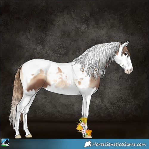 Horse Color:Liver Red Onyx Pearl Splash Tobiano 