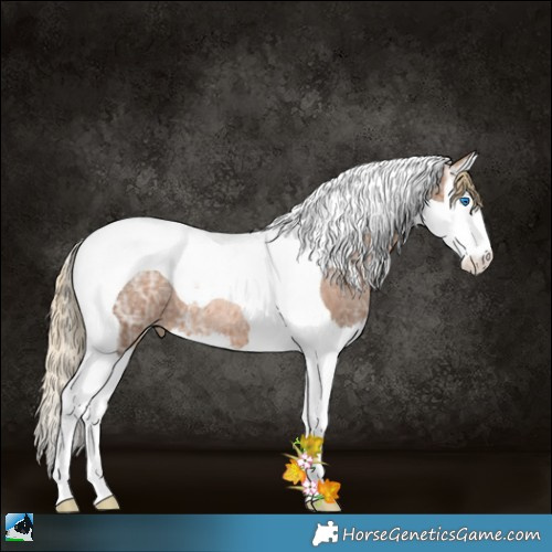 Horse Color:Liver Chestnut Ice Pearl Splash Tobiano Rabicano 