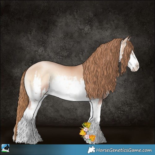 Horse Color:White Spotted Gold Champagne Pearl Onyx 