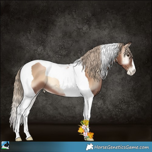 Horse Color:Liver Red Onyx Pearl Tobiano 