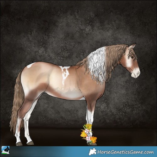 Horse Color:Liver Red Onyx Pearl Tobiano Rabicano 