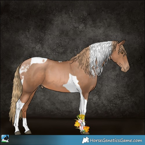 Horse Color:Liver Chestnut Pearl Tobiano 