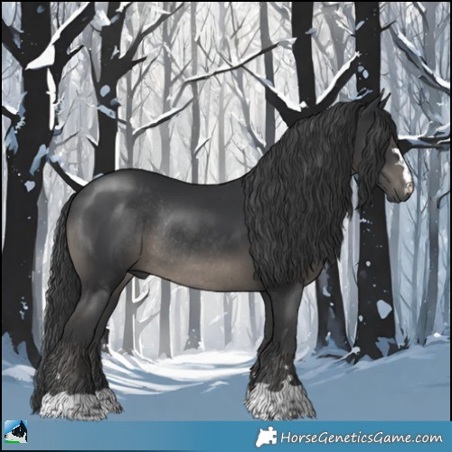 Horse Color:Platinum Black Rabicano 